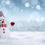 Veselé Vánoce a šťastný nový rok